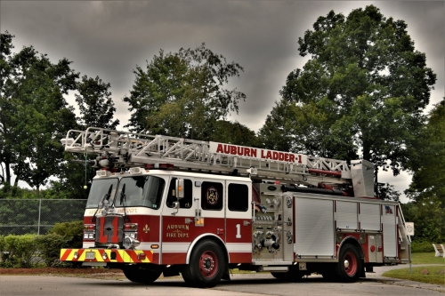 Ladder 1